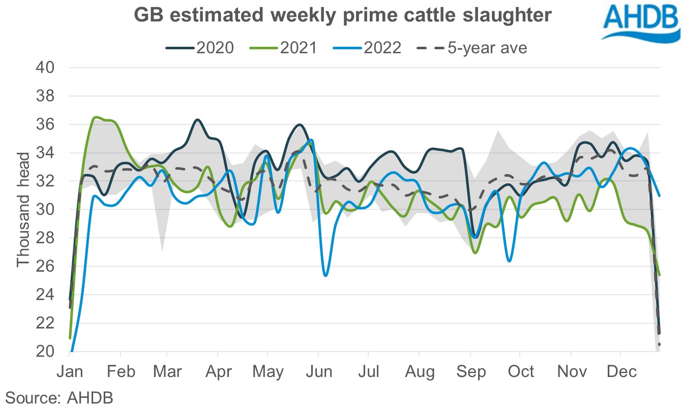 Graph of estimated weekly prime cattle slaughter